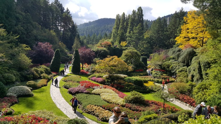 랭리 아빠 육아휴직 [D+38, Canada] 밴쿠버 섬, 빅토리아 여행_캐나다 아빠 육아휴직