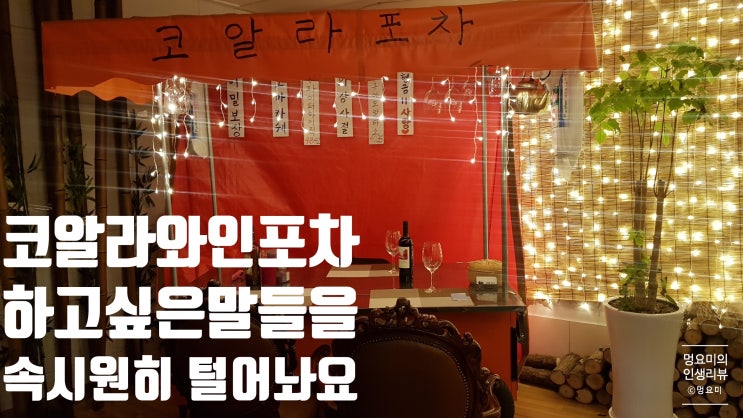 [강남 프라이빗와인] 코알라 와인포차 / 하고싶은말 속시원히 다 털어놓자