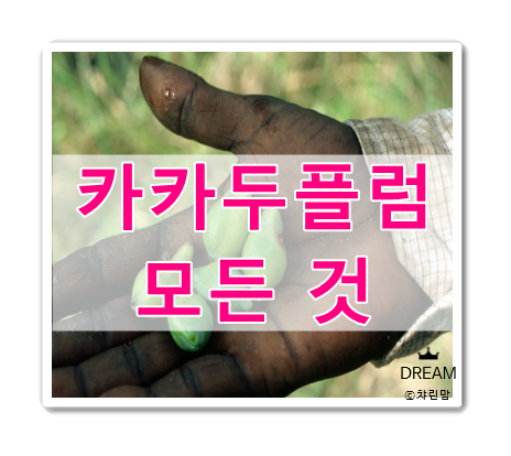  카카두플럼 효능 및 부작용, 먹는 법  엘라그산 + 갱년기에 좋은 음식
