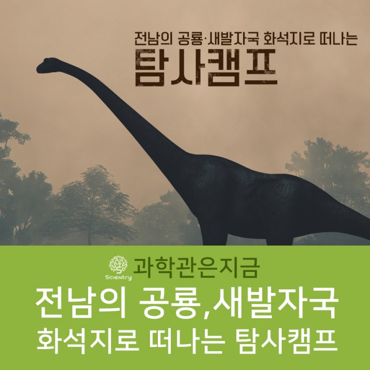  [탐사캠프] 전남의 공룡·새발자국 화석지로 떠나는 탐사 캠프