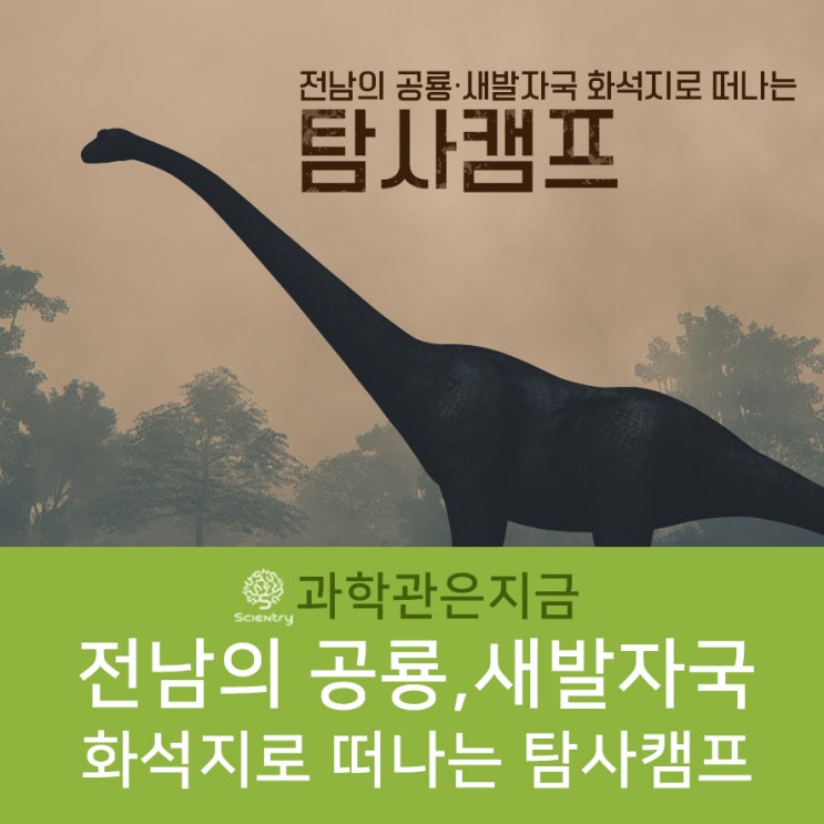 [탐사캠프] 전남의 공룡·새발자국 화석지로 떠나는 탐사 캠프