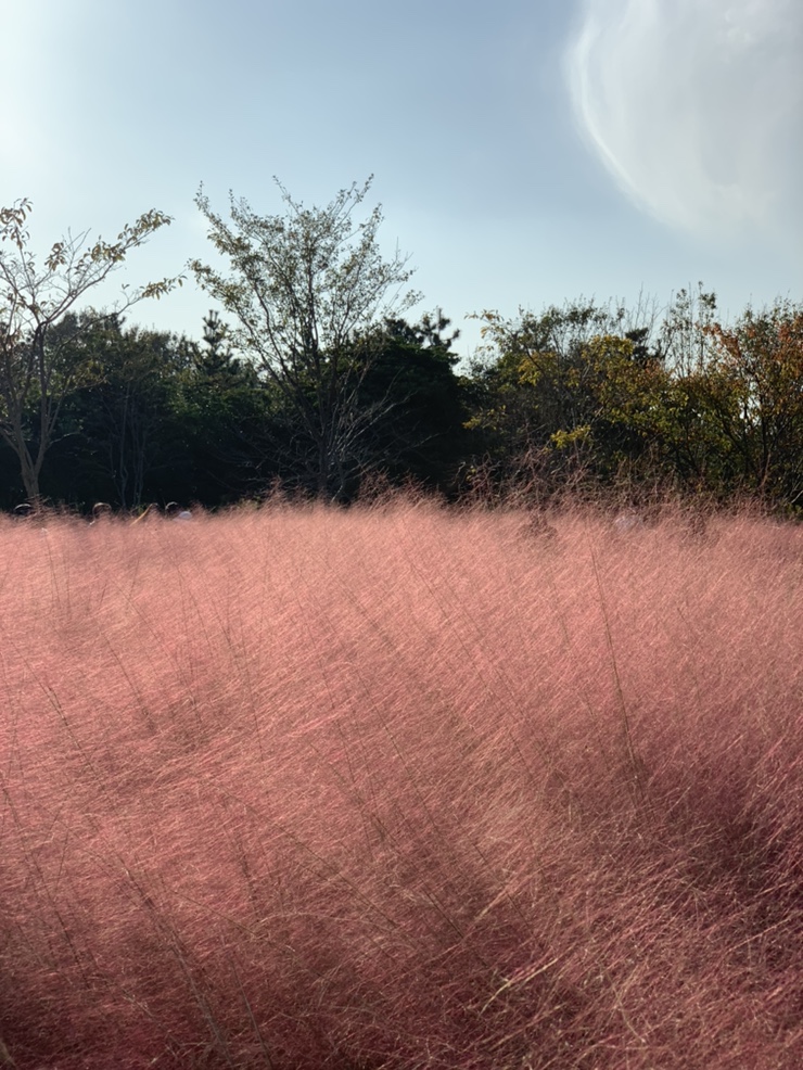  스물네번째 일상