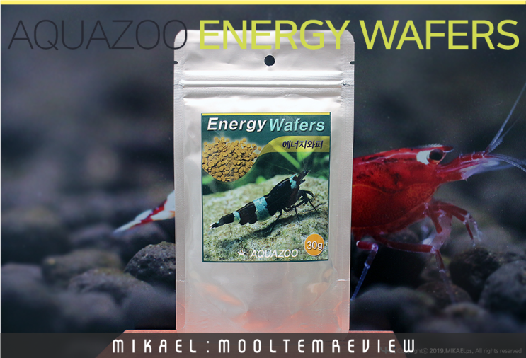  물템 리뷰 : 아쿠아주 에너지와퍼 (ENERGY WAFERS 새우사료)
