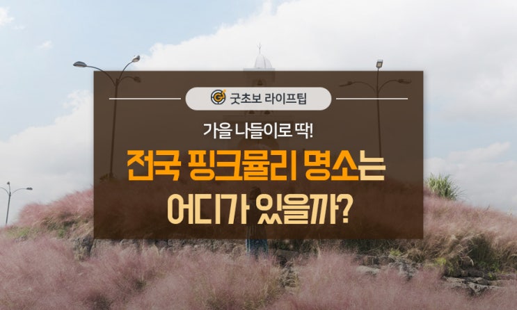  가을 나들이로 딱! SNS에서 핫한 전국 핑크뮬리 명소는 어디가 있을까?