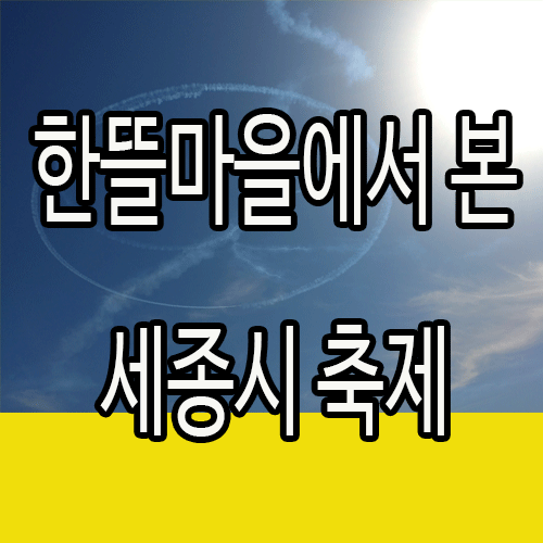  세종시 축제 한뜰마을 레이크파크에서 바라본 여민락 축제