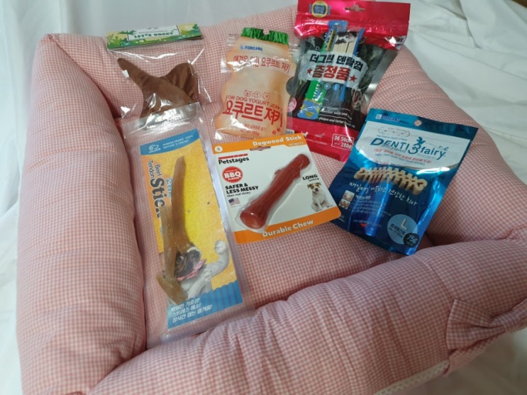  강아지쇼핑몰 폴리파크, 여러가지 아이템 소개할게요