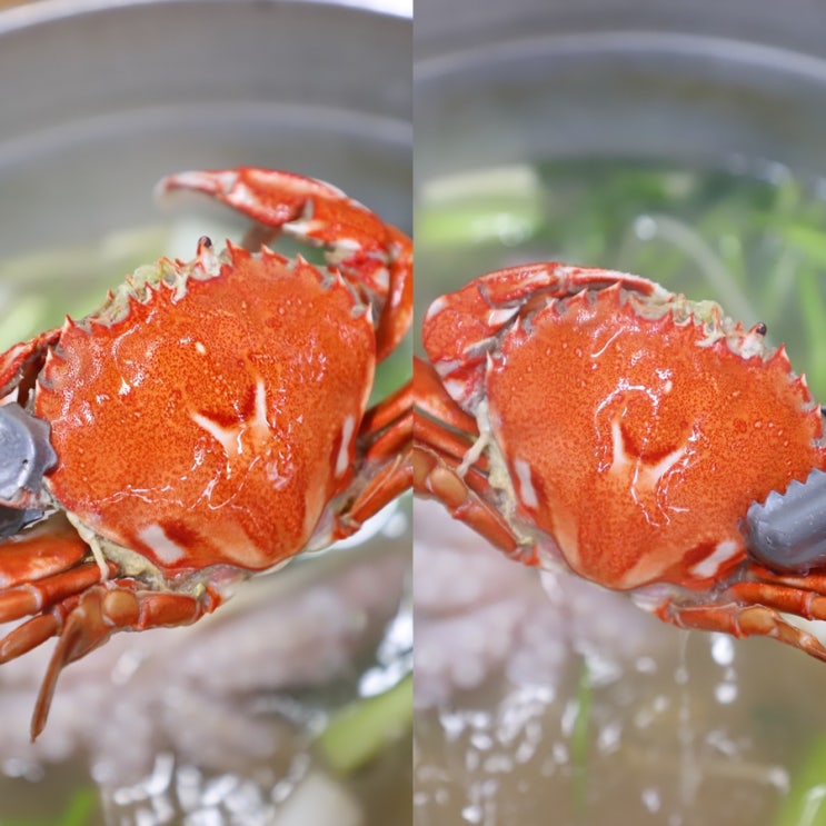  제주 월정리 밥집 해물찜 구성이 알차네!