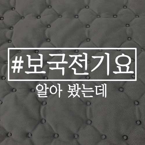  보국전기요 알아보다 단잠웜매트 샀다..
