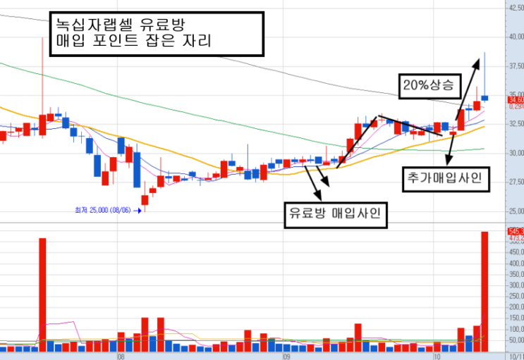 필룩스 30%, 에이프로젠kic 50%, 녹십자랩셀 20%, 티앤알바이오팹 30% 급등, 다음주도 선점해야 할 바이오주들은 많다.(10/11 김선상대표 마감테마분석)