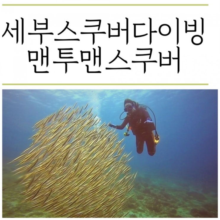  [동남아일주]세부4일차-스쿠버다이빙 오픈워터 취득 '맨투맨스쿠버다이빙'
