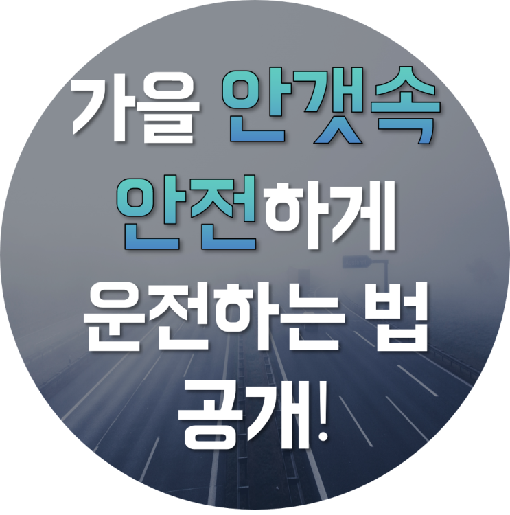  가을 안갯속 안전하게 운전하는 방법 공개!