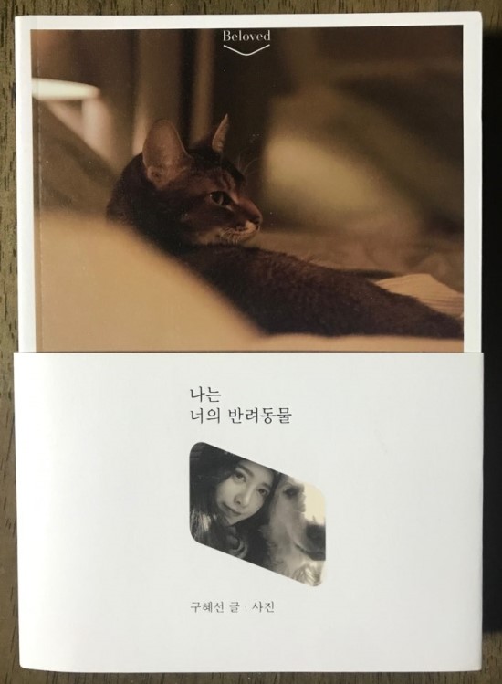  서평]나는 너의 반려동물_구혜선