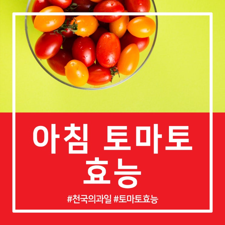  아침 토마토 효능 ‘천국의 과일’로 불리는 이유