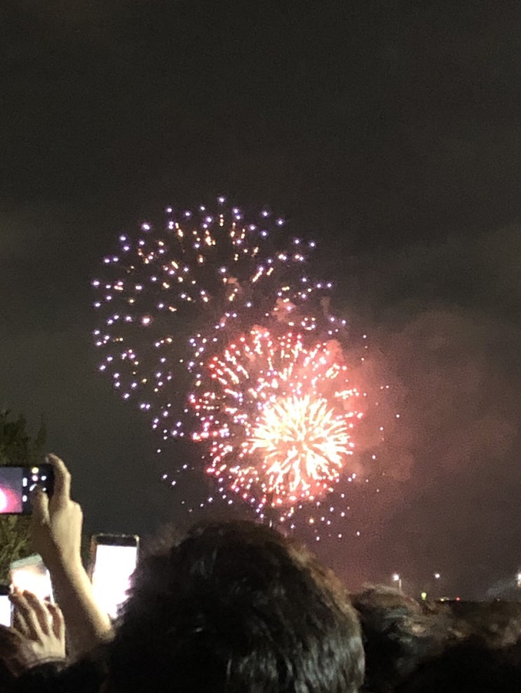  2019 서울 세계 불꽃축제(여의도 한강공원, 명당, 준비물, 날씨)