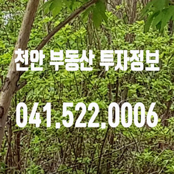  한성필하우스 천안역 아파트 천안시 분양정보