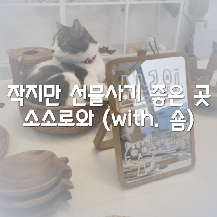  선물사기 딱 좋아! 대전 소품샵 대흥동 소소로와