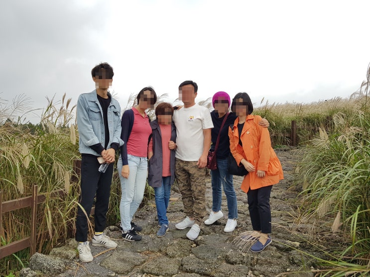  제주 미니버스 렌트로 다녀온 워크샵
