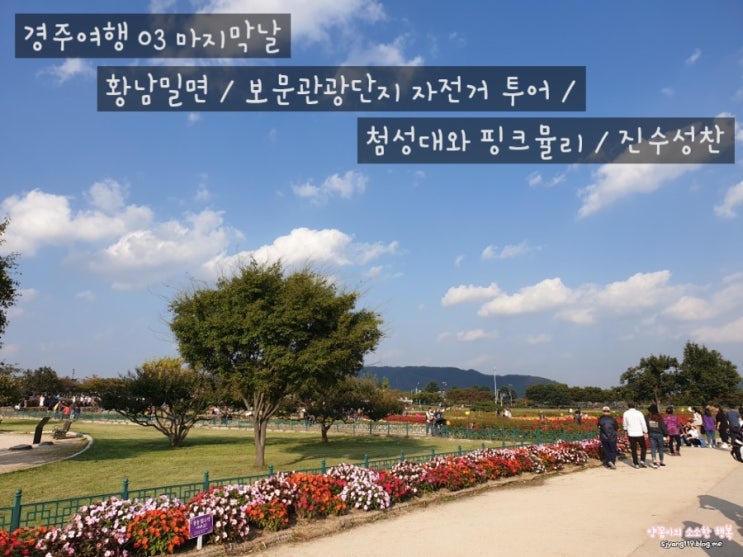  경주여행 03 마지막날 황남밀면 / 보문단지 자전거투어 / 첨성대 / 첨성대핑크뮬리 / 진수성찬 / 집