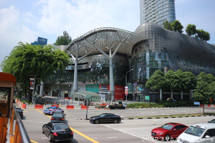 [동남아 한달여행_Singapore] 초록초록한 나무의 천국 싱가포르 도심 투어 / 선텍시티 몰