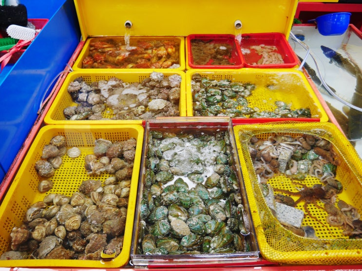  자갈치시장 맛집 있을까?