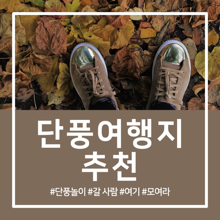  단풍여행지 추천 함께 떠나보실래요?