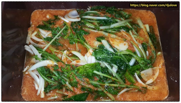  [물김치 담기 2차]  열무 & 얼갈이로 담아보는 가을 물김치 [2차 시도]  맛나는 우리 집 가을 김치 