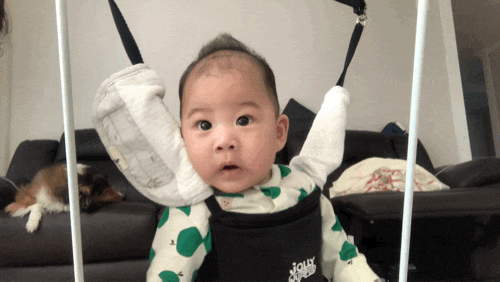  퓨어락 사랑의분유탑 ︎('ω')︎
