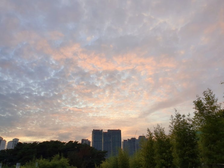 191010_월급 루팡