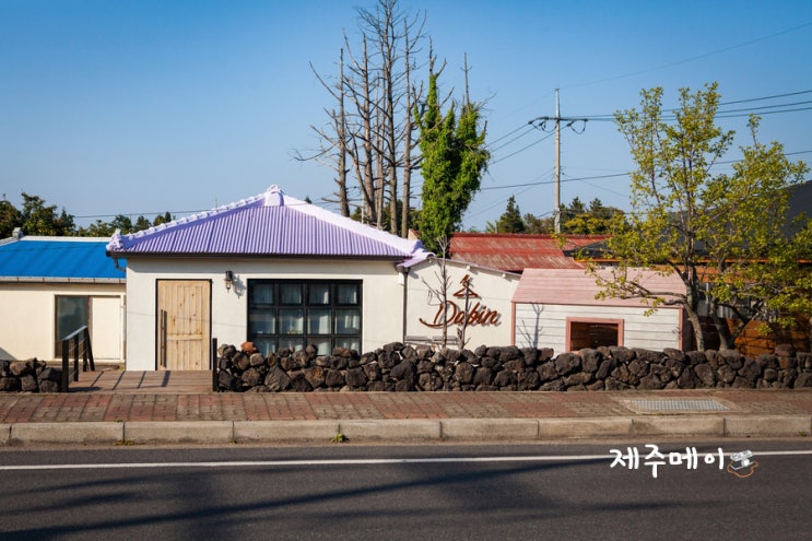  제주도 걷기 여행 가을 바람과 함께 안단테