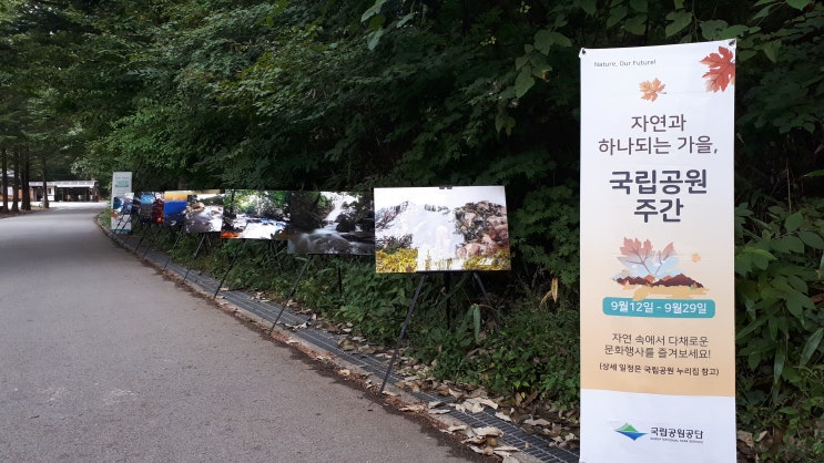 1인 미디어 콘텐츠 크리에이터 과정 3회차(강동대학교) - 라이트룸, 프로쇼, 베가스 Study
