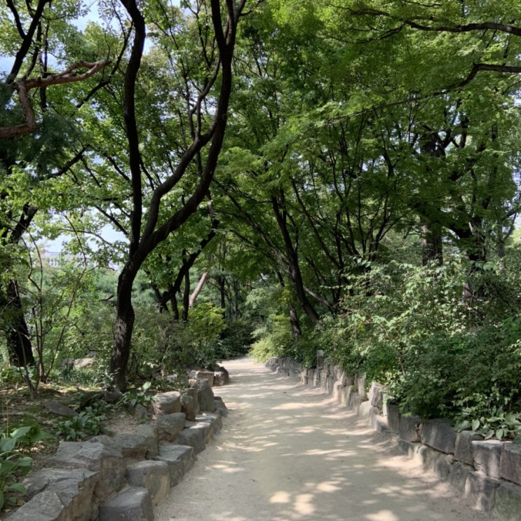  마구잡이