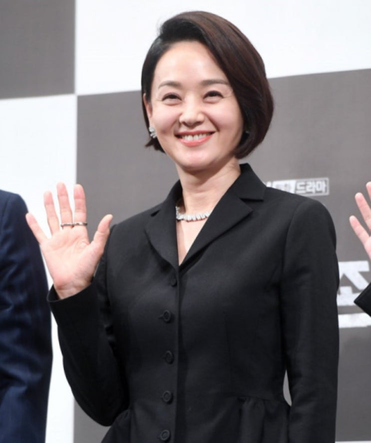  배우 배종옥 프로필(나이.키.학력.배우활동.이혼)