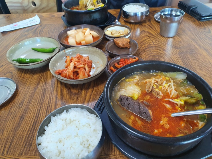 제주공항근처 도두동 오래해장국 후기