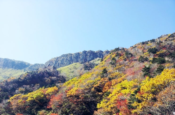  제주도 가을 한라산 여행 :아름다운 단풍 만끽하기