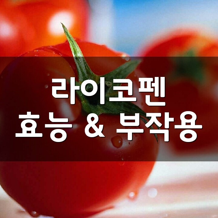  라이코펜 (Lycopene, 리코펜) 효능, 부작용, 권장량, 제품 순위