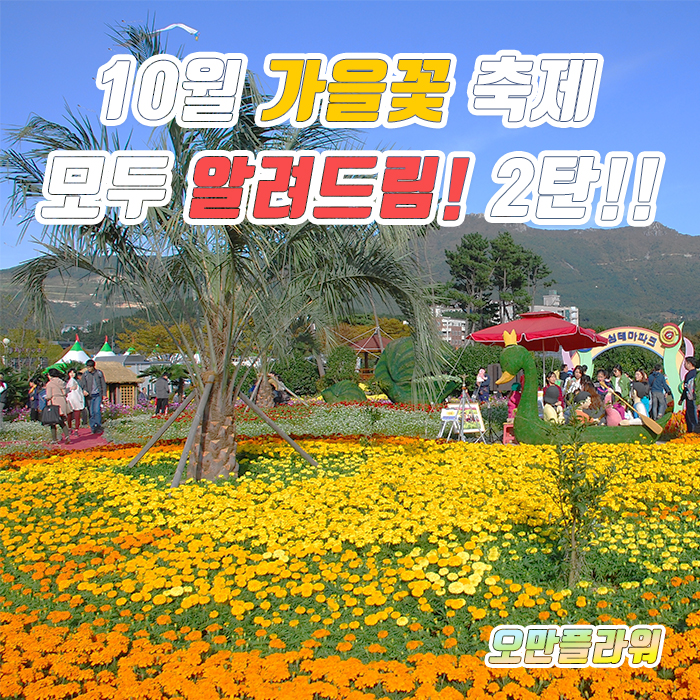  10월 꽃축제 정리 2탄! 2019 가을 축제로 전국 여행 하기!