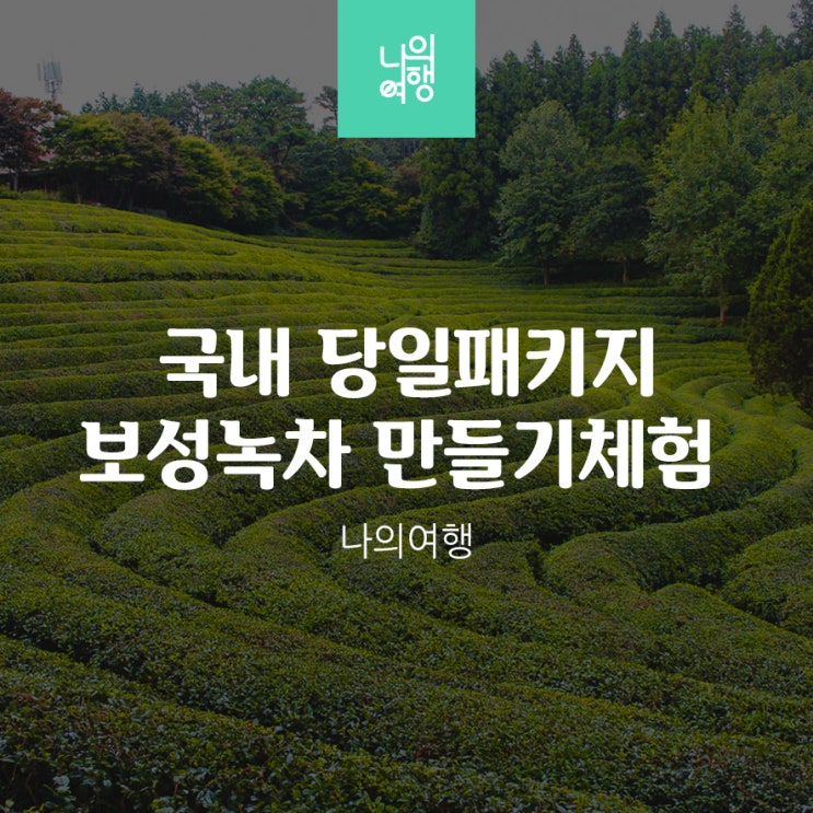  부산출발 보성녹차만들기 체험 국내여행 당일치기