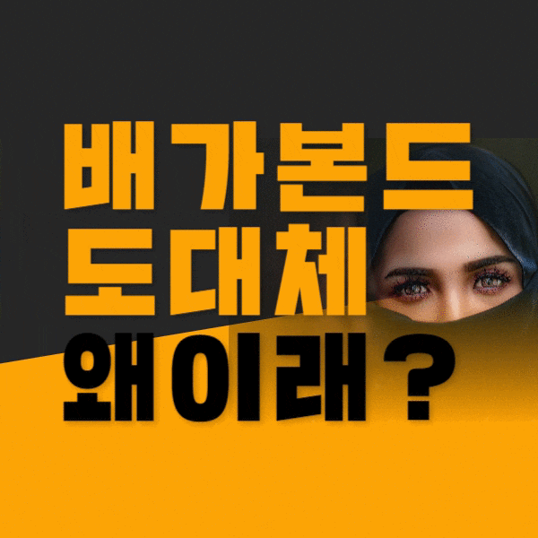  베가본드 재방송드라마 다시보기시간 몇16부작???? 등장인물관계도 배가본드 뜻  촬영지 모로코 매가본드
