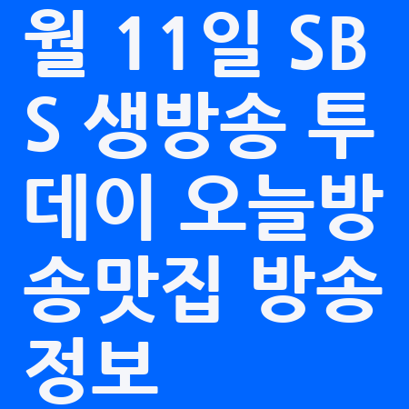 월 11일 SBS 생방송 투데이 오늘방송맛집 방송정보