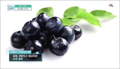  빌베리 효능 및 바르게 먹는법 (눈관리 복합식품 선택기준)