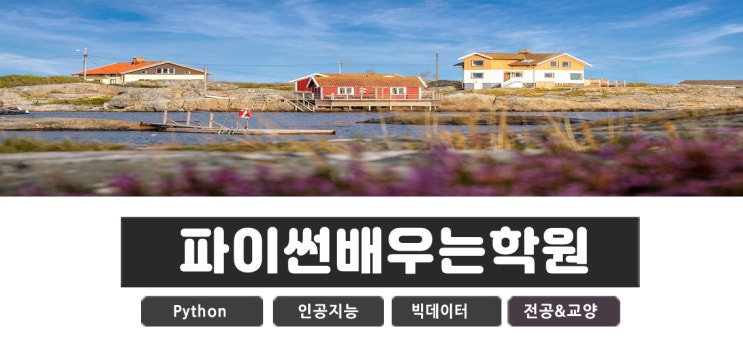  파이썬 배우는 학원 python 가르치는 교육원 4주완성