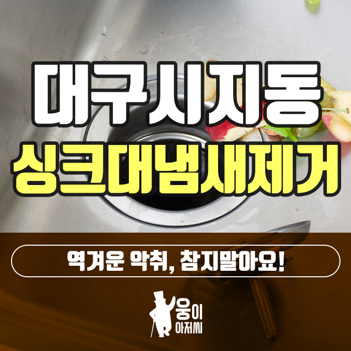  대구시지동싱크대냄새제거 역겨운 악취, 참지말아요!