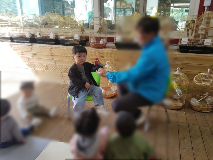  포천 주파크) 실내동물원 아이들이 체험 할 수 있어서 좋아요!