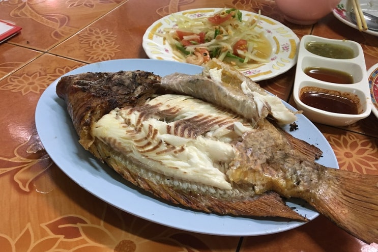  치앙마이 올드시티 맛집 럿롯 생선구이 (릭로스)