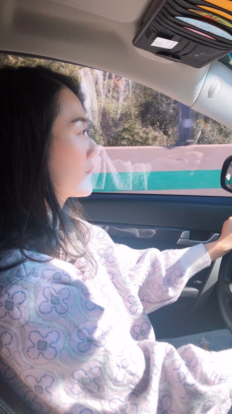  [2019.부산여행첫째날_국립해양박물관/태종대/기왓집/빨간산오징어]