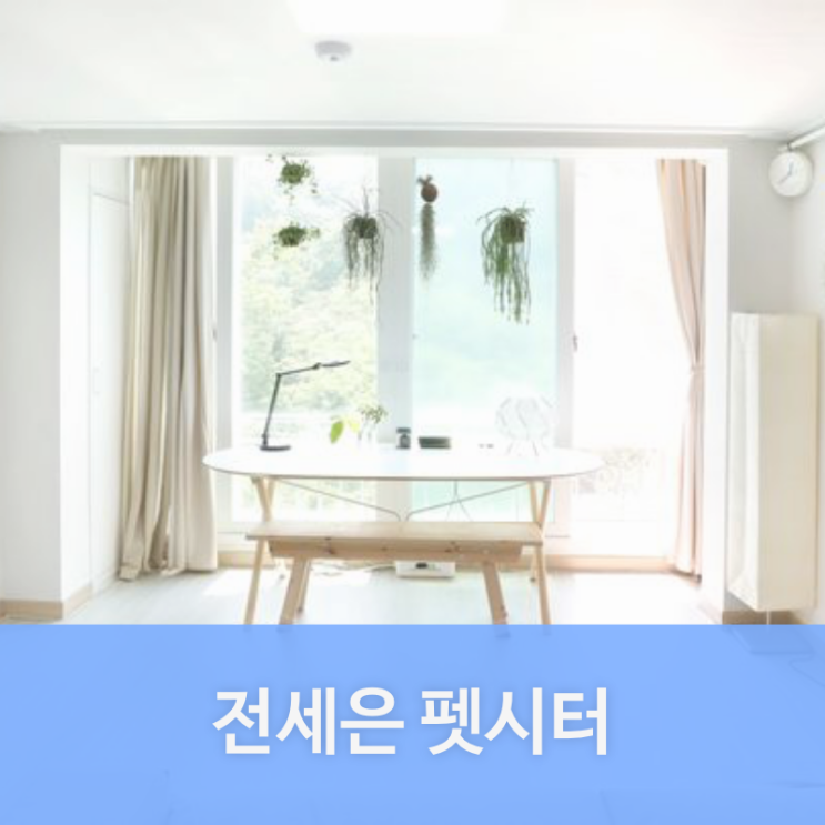  중구 회현동 펫시터 전세은님을 소개합니다. | 회현동 애견호텔, 애견유치원, 강아지유치원, 강아지호텔 찾는다면 펫플래닛