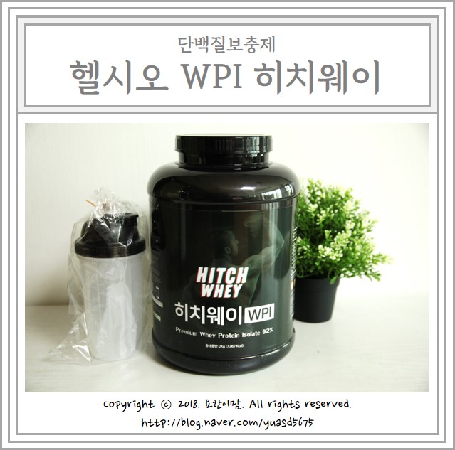  단백질보충제 헬시오 WPI 히치웨이 효과적으로 운동하기!