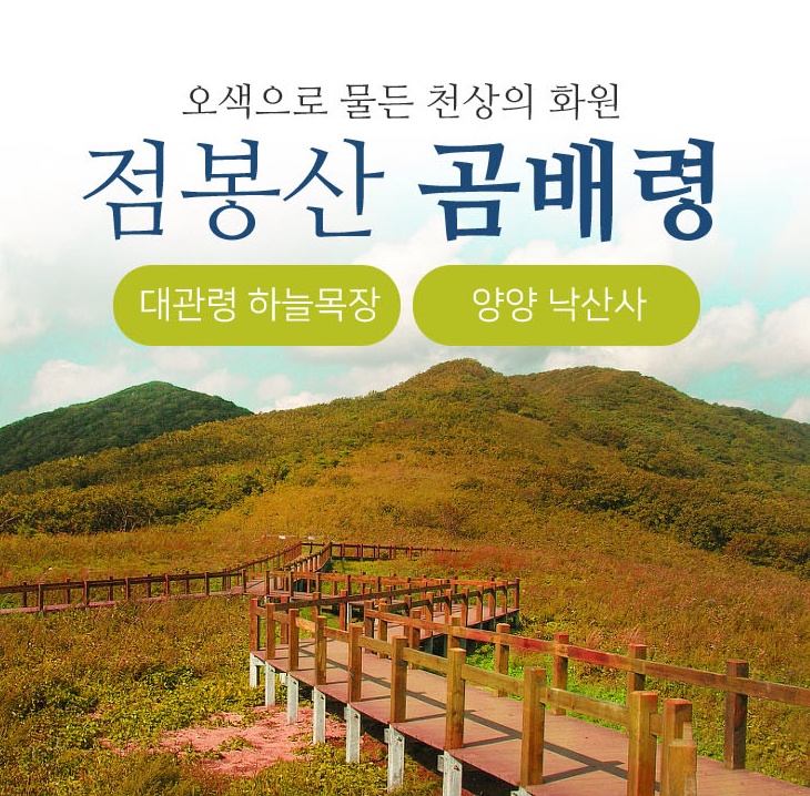 점봉산 곰배령, 대관령하늘목장, 양양낙산사 버스여행 - 부름여행사