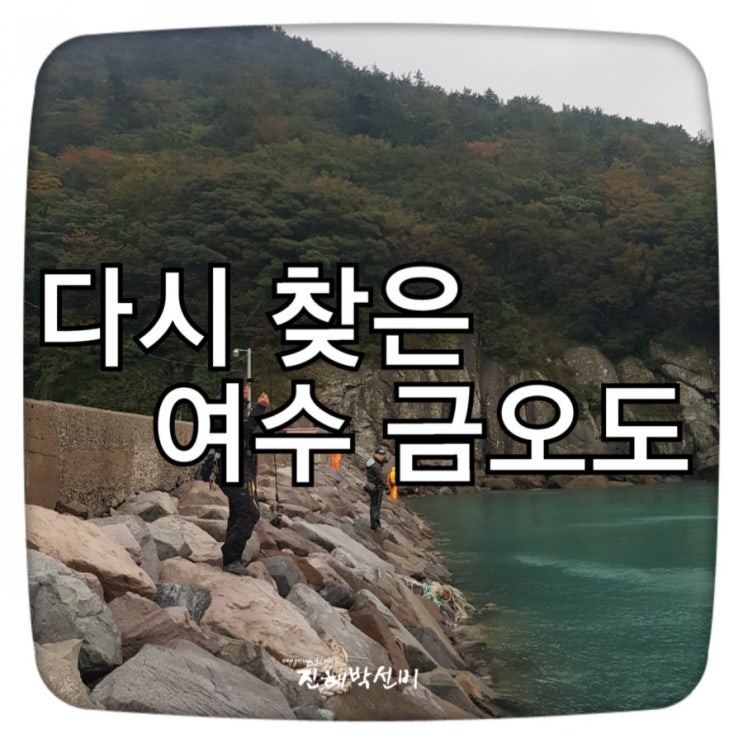  다시 찾은 여수 금오도 :: 무늬오징어 낚시 그리고 먹방 여행