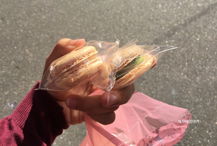  까치산마카롱 배빵빵 마카롱천원 이에요